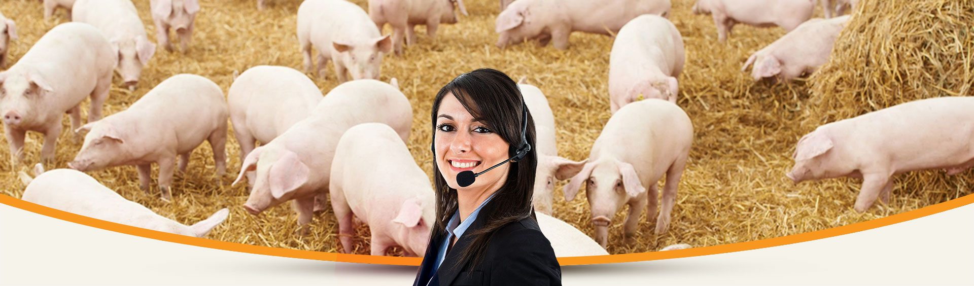 Contacto Grupo Mirasol